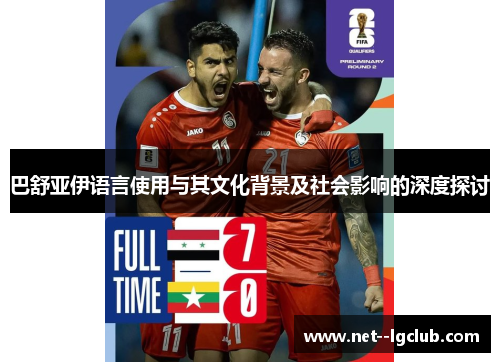 巴舒亚伊语言使用与其文化背景及社会影响的深度探讨