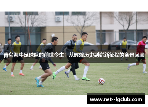 青岛海牛足球队的前世今生：从辉煌历史到崭新征程的全景回顾